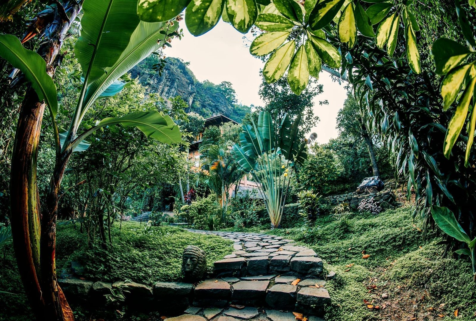 Stone path through a lush tropical garden retreat
